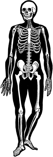 Иллюстрация к книге — Не жилец! История медицины в увлекательных заметках [i_035.jpg]