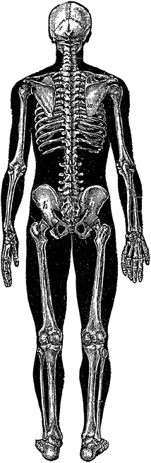 Иллюстрация к книге — Не жилец! История медицины в увлекательных заметках [i_038.jpg]