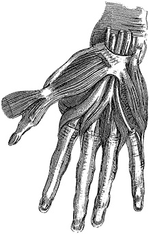 Иллюстрация к книге — Не жилец! История медицины в увлекательных заметках [i_056.jpg]