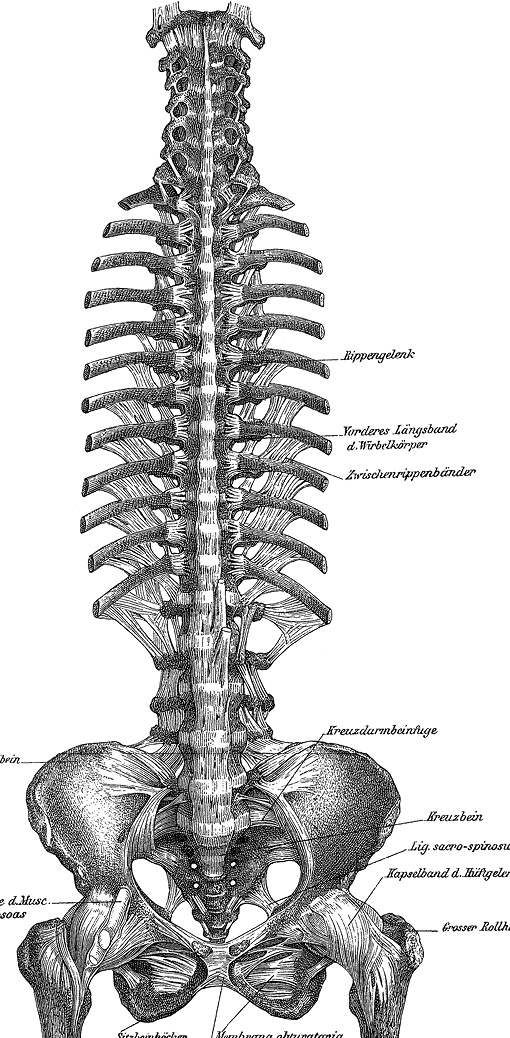 Иллюстрация к книге — Не жилец! История медицины в увлекательных заметках [i_063.jpg]