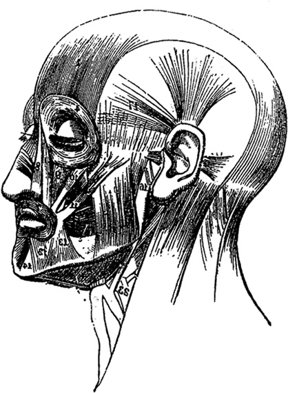 Иллюстрация к книге — Не жилец! История медицины в увлекательных заметках [i_095.jpg]