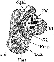 Иллюстрация к книге — Не жилец! История медицины в увлекательных заметках [i_115.jpg]