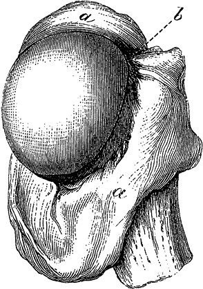 Иллюстрация к книге — Не жилец! История медицины в увлекательных заметках [i_117.jpg]