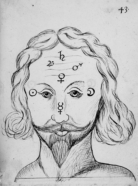 Иллюстрация к книге — Волосы. Иллюстрированная история [i_003.jpg]