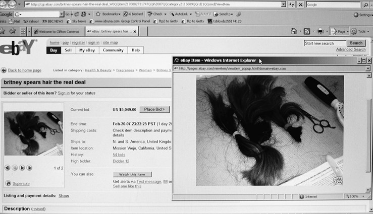 Иллюстрация к книге — Волосы. Иллюстрированная история [i_014.jpg]
