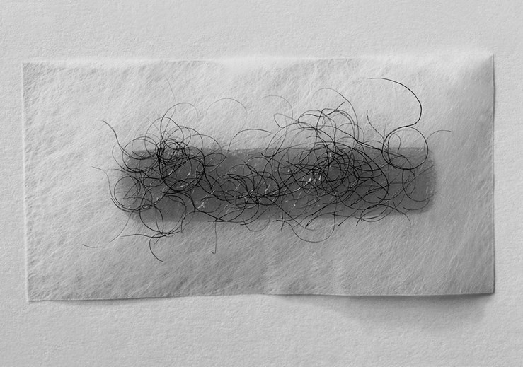 Иллюстрация к книге — Волосы. Иллюстрированная история [i_079.jpg]