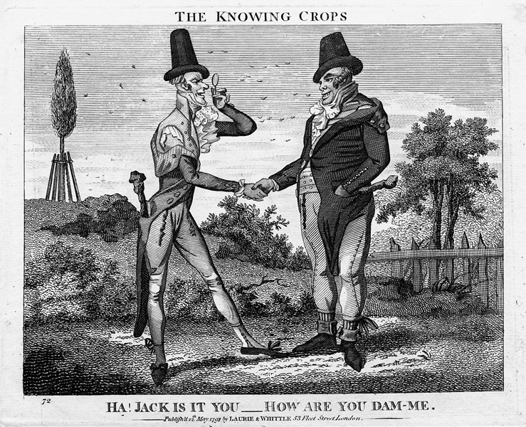 Иллюстрация к книге — Волосы. Иллюстрированная история [i_119.jpg]