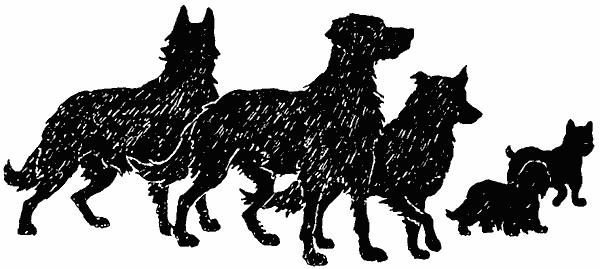 Иллюстрация к книге — Тьма наступает [i_004.jpg]