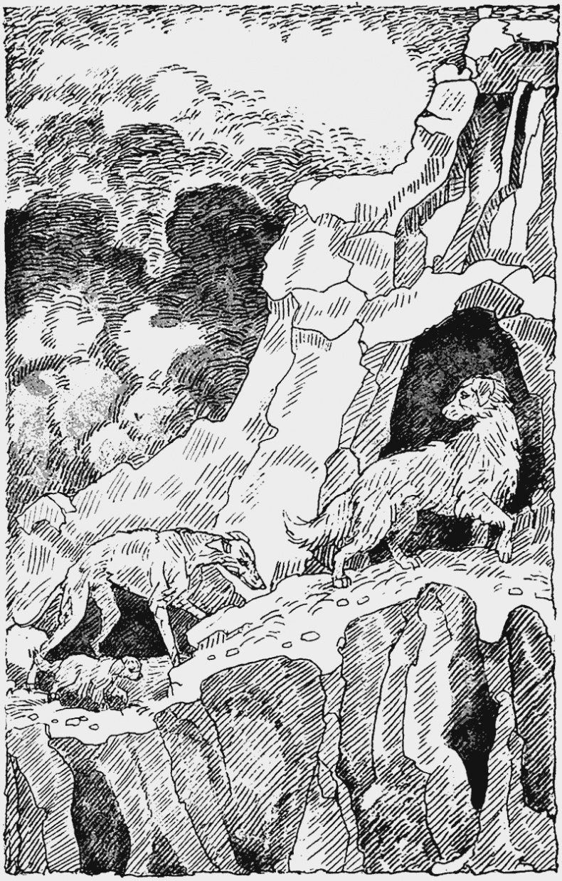 Иллюстрация к книге — Тьма наступает [i_005.jpg]