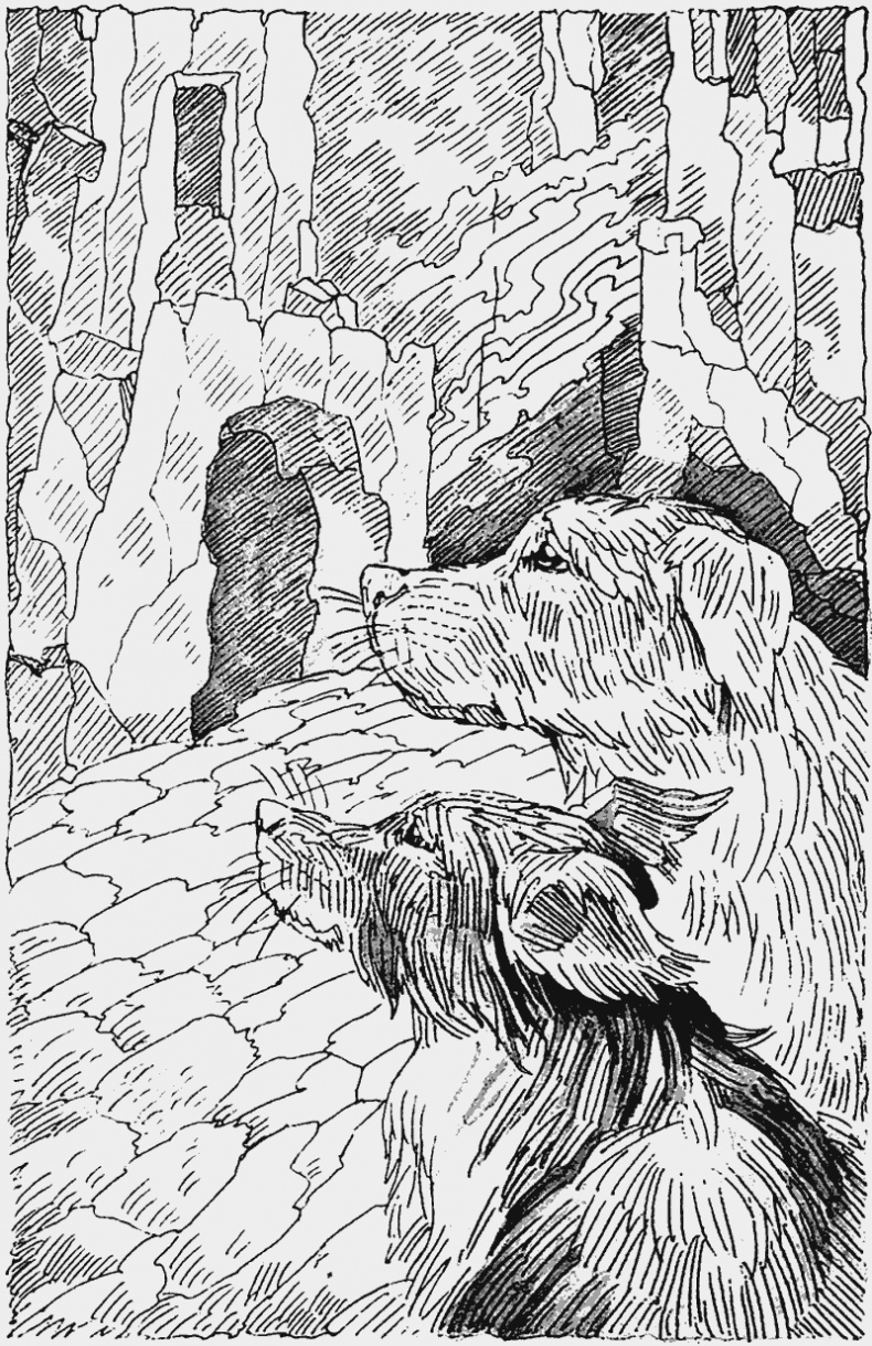 Иллюстрация к книге — Тьма наступает [i_007.jpg]