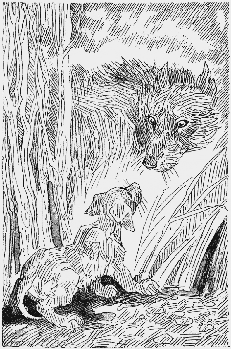 Иллюстрация к книге — Тьма наступает [i_014.jpg]