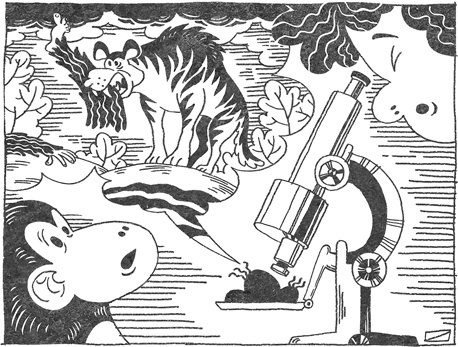 Иллюстрация к книге — Странная обезьяна. Куда делась шерсть и почему люди разного цвета [i_011.jpg]