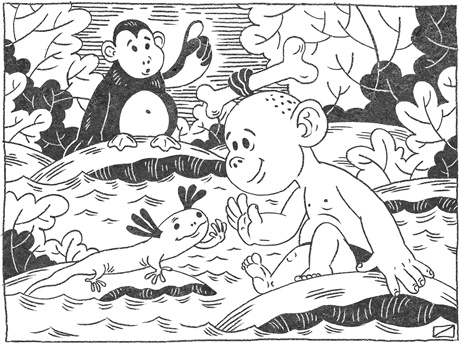 Иллюстрация к книге — Странная обезьяна. Куда делась шерсть и почему люди разного цвета [i_021.jpg]