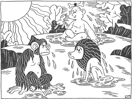 Иллюстрация к книге — Странная обезьяна. Куда делась шерсть и почему люди разного цвета [i_027.jpg]