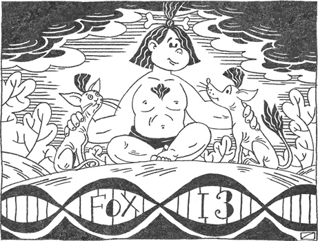 Иллюстрация к книге — Странная обезьяна. Куда делась шерсть и почему люди разного цвета [i_043.jpg]