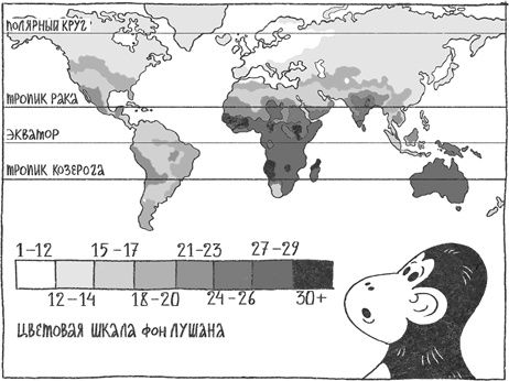 Иллюстрация к книге — Странная обезьяна. Куда делась шерсть и почему люди разного цвета [i_062.jpg]