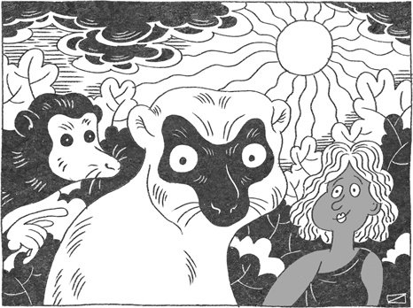 Иллюстрация к книге — Странная обезьяна. Куда делась шерсть и почему люди разного цвета [i_072.jpg]