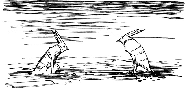 Иллюстрация к книге — Хроники Люциферазы. Три корабля [i_006.jpg]