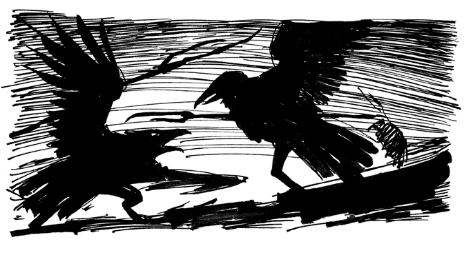 Иллюстрация к книге — Хроники Люциферазы. Три корабля [i_014.jpg]