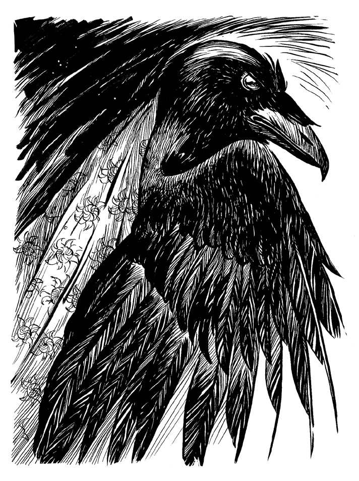 Иллюстрация к книге — Хроники Люциферазы. Три корабля [i_020.jpg]