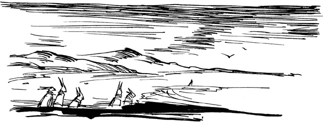 Иллюстрация к книге — Хроники Люциферазы. Три корабля [i_030.jpg]