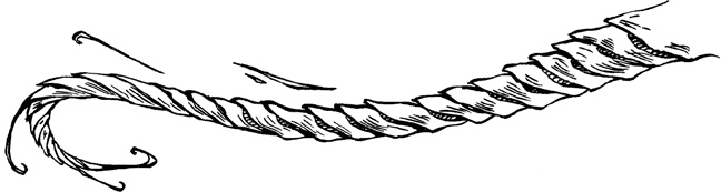 Иллюстрация к книге — Хроники Люциферазы. Три корабля [i_032.jpg]