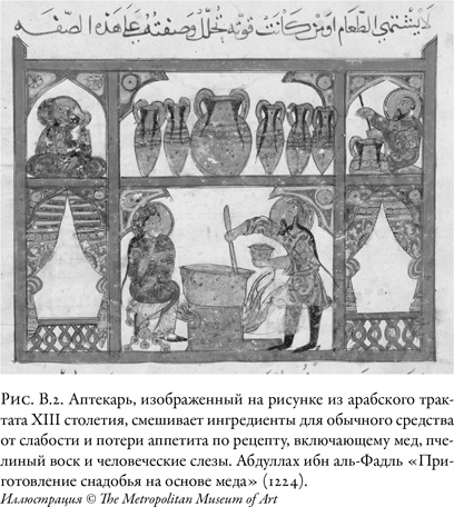 Иллюстрация к книге — Жужжащие. Естественная история пчёл [i_004.jpg]