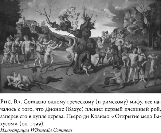 Иллюстрация к книге — Жужжащие. Естественная история пчёл [i_005.jpg]