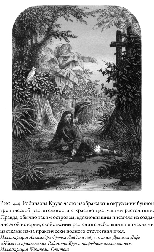 Иллюстрация к книге — Жужжащие. Естественная история пчёл [i_024.jpg]