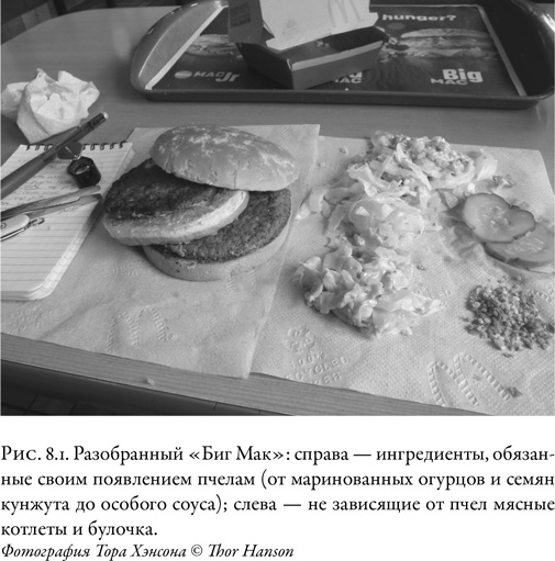 Иллюстрация к книге — Жужжащие. Естественная история пчёл [i_040.jpg]