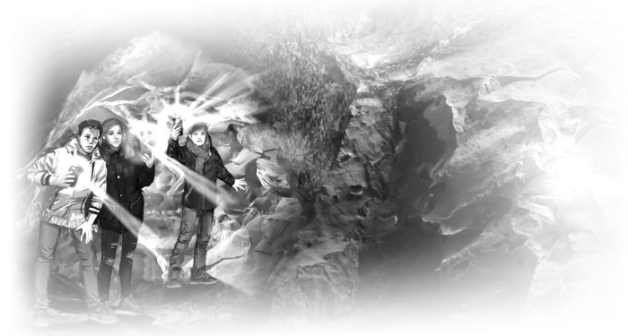 Иллюстрация к книге — Ворона в сети [i_003.jpg]