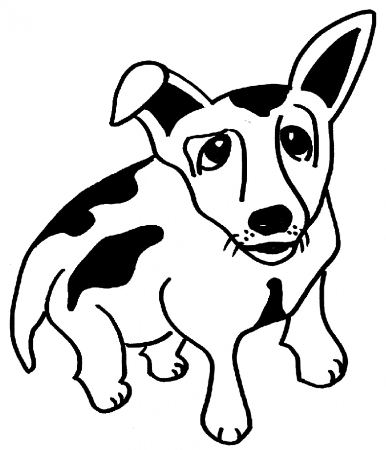 Иллюстрация к книге — Лучшее место на свете – прямо здесь [i_001.jpg]