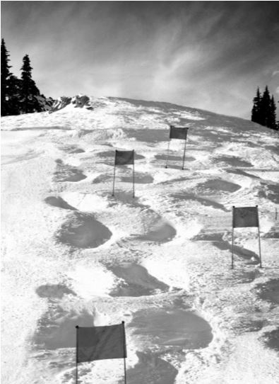 Иллюстрация к книге — Здравому смыслу вопреки. Парадоксальные решения в рекламе, бизнесе и жизни [b00000214.jpg]