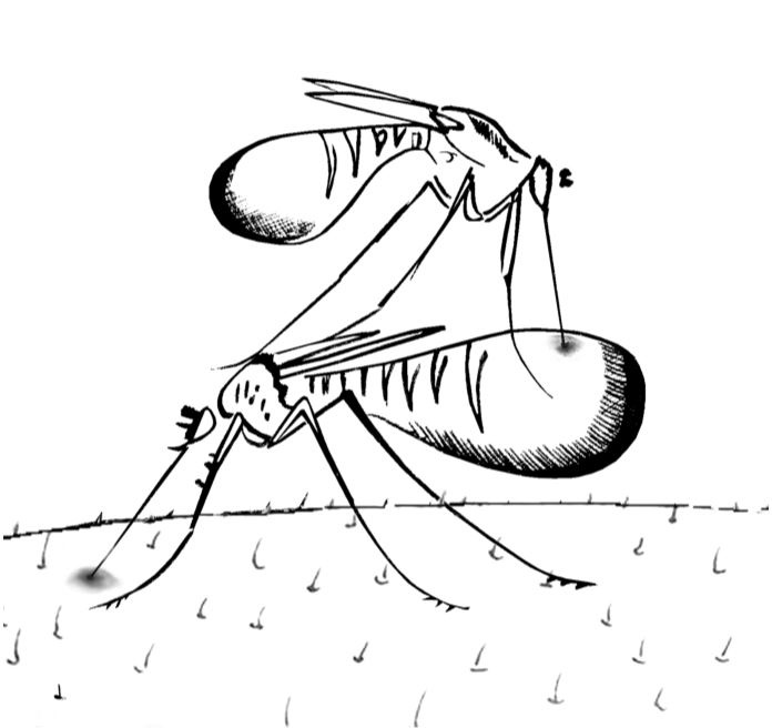 Иллюстрация к книге — Здравому смыслу вопреки. Парадоксальные решения в рекламе, бизнесе и жизни [b00001036.jpg]