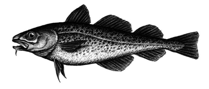 Иллюстрация к книге — Здравому смыслу вопреки. Парадоксальные решения в рекламе, бизнесе и жизни [b00001396.jpg]