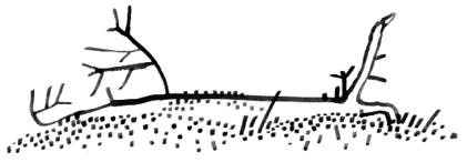 Иллюстрация к книге — Никита ищет море [i_064.jpg]