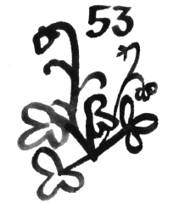 Иллюстрация к книге — Никита ищет море [i_083.jpg]