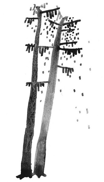 Иллюстрация к книге — Никита ищет море [i_088.jpg]