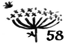 Иллюстрация к книге — Никита ищет море [i_092.jpg]