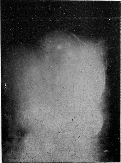 Иллюстрация к книге — Путь избавления. Школа странных детей [i_012.jpg]