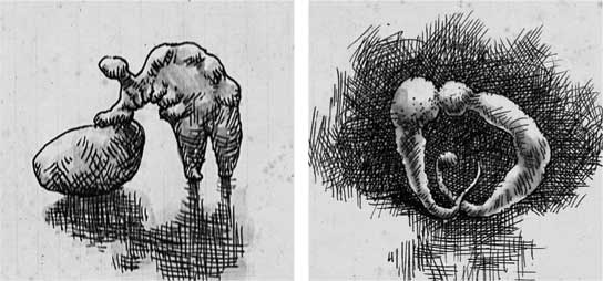 Иллюстрация к книге — Путь избавления. Школа странных детей [i_033.jpg]