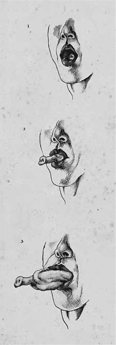 Иллюстрация к книге — Путь избавления. Школа странных детей [i_035.jpg]