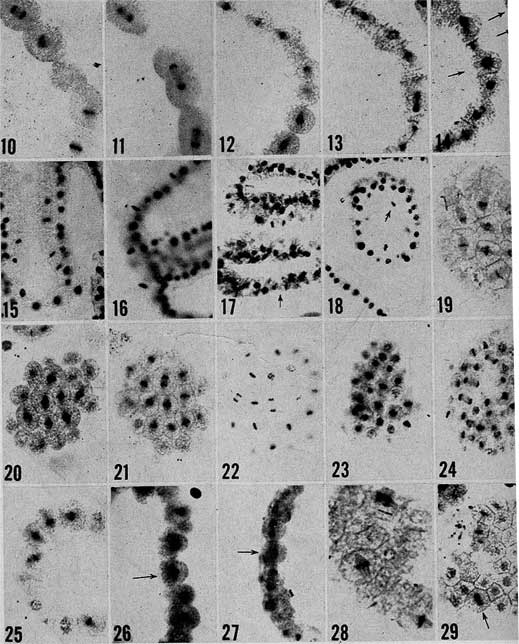 Иллюстрация к книге — Путь избавления. Школа странных детей [i_037.jpg]