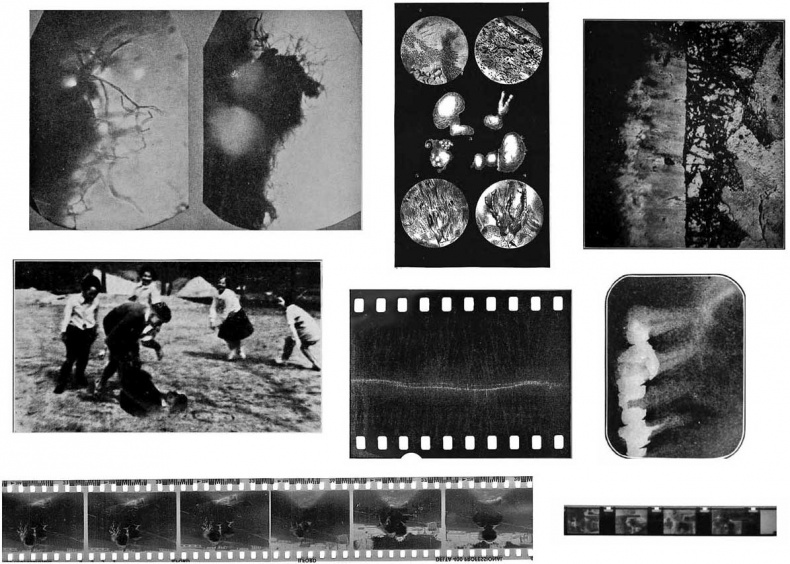 Иллюстрация к книге — Путь избавления. Школа странных детей [i_067.jpg]