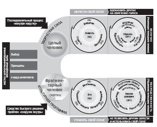 Иллюстрация к книге — Восьмой навык. От эффективности к величию [i_030.jpg]