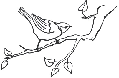 Иллюстрация к книге — Обойдемся без педагогики. Книга для родителей, которые хотят воспитывать детей самостоятельно [i_015.jpg]