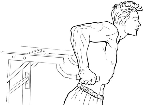 Иллюстрация к книге — Здоровье и красивая фигура после 50 [i_011.jpg]