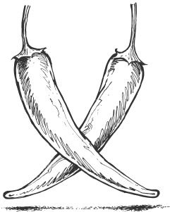 Иллюстрация к книге — Здоровье и красивая фигура после 50 [i_065.jpg]