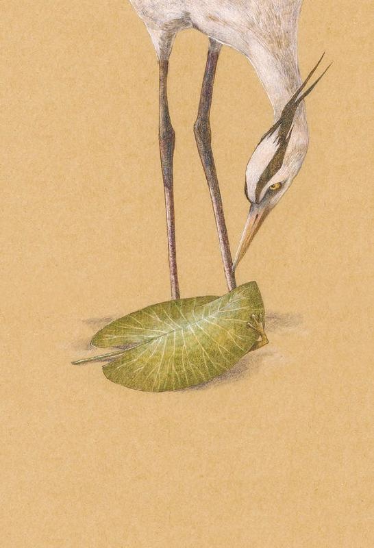 Иллюстрация к книге — В сонном-сонном лесу… Сказки для засыпания [i_030.jpg]