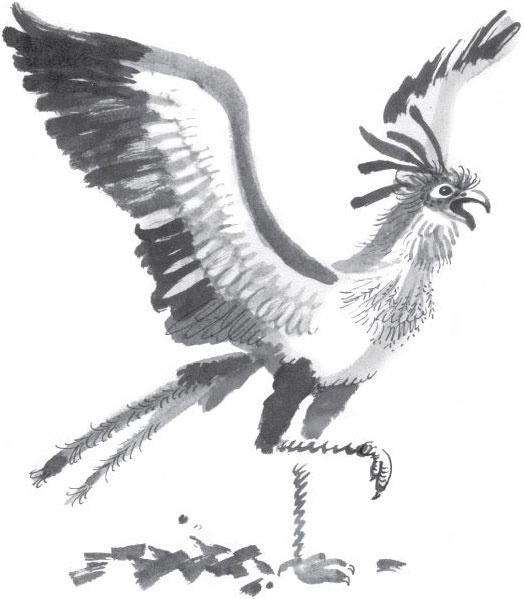 Иллюстрация к книге — Брат-юннат [i_009.jpg]